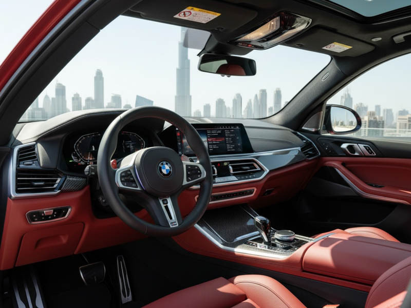 BMW X6 M